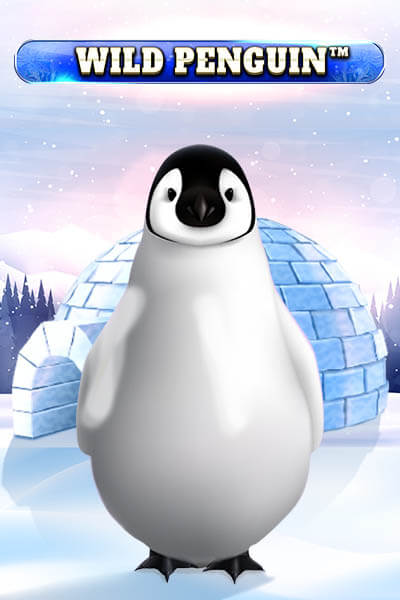 Wild Penguin
