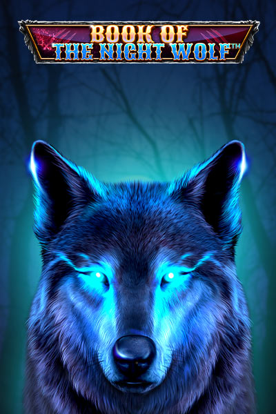 Book Of The Night Wolf